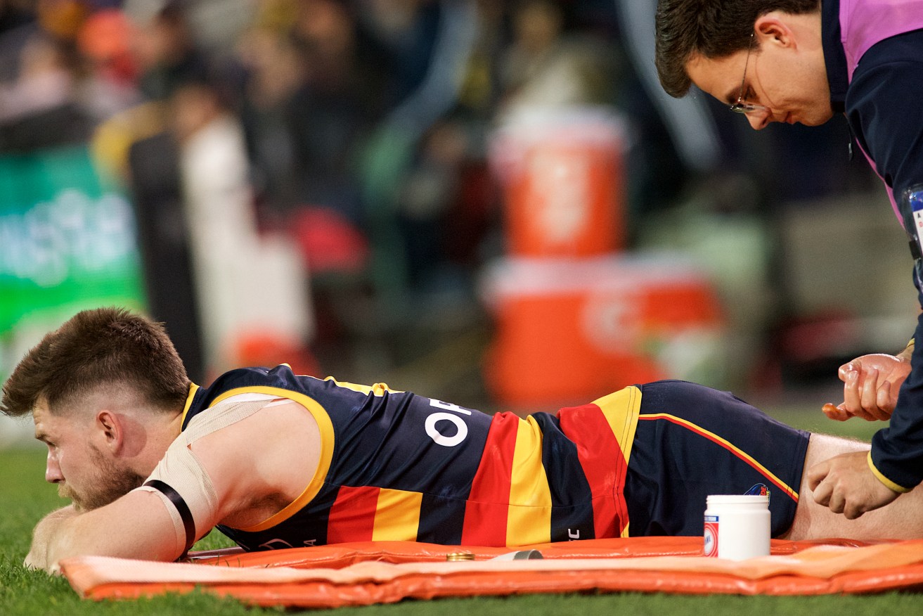 This season has been a painful experience for Bryce Gibbs and Crows supporters alike. Photo: Michael Errey / InDaily