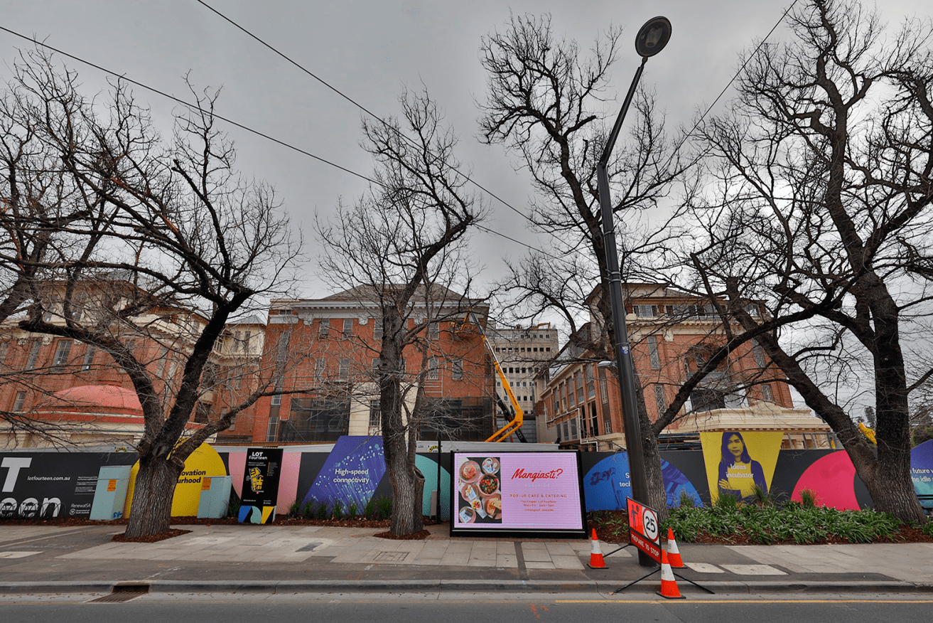 Renewal SA wants to chop down 11 street trees along North Terrace as part of the Lot Fourteen development. Photo: Tony Lewis / InDaily