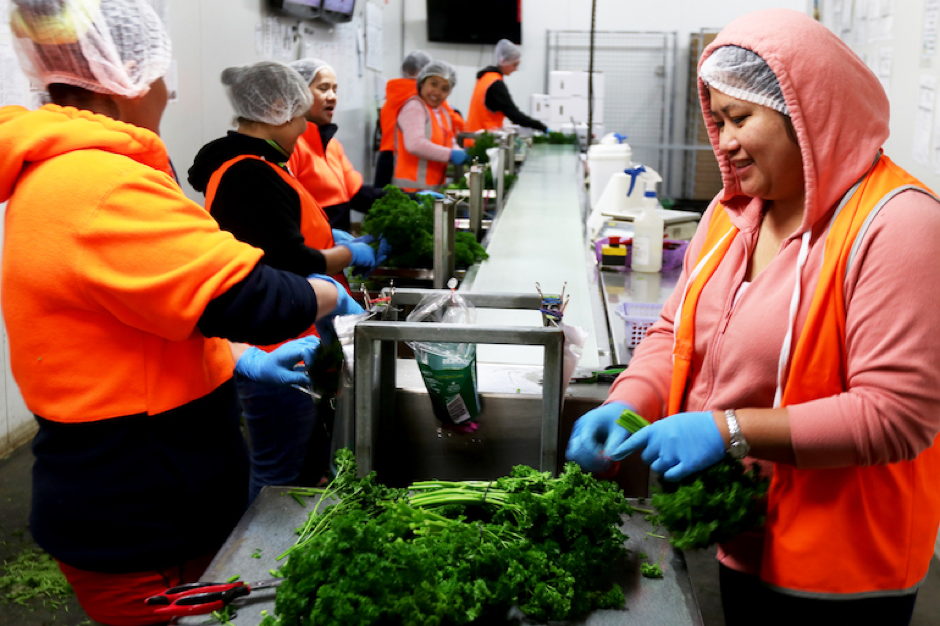 About a third of workers at Holla-Fresh are migrants or refugees. Photo by Kate Hill.