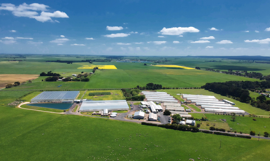 The business, with 3.8 hectares of greenhouses, stretches across 19 hectares at Tantanoola in the South East. Photo by Ockert Le Roux.