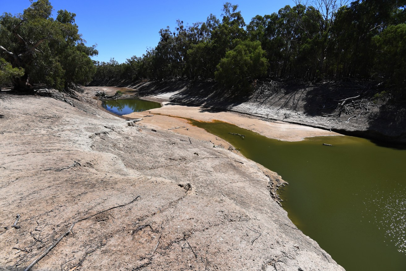 The NSW Govt says its state is dry while SA Lower Lakes are full. Photo: AAP/Dean Lewins