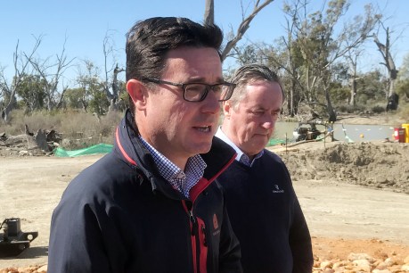 Murray-Darling protesters brandish noose at Water Minister