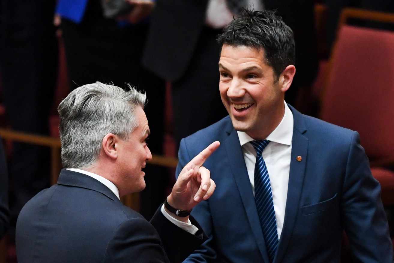 Liberal Senator for South Australia Alex Antic is congratulated by Finance Minister Mathias Cormann after delivering his maiden Senate speech. Photo: Lukas Coch / AAP