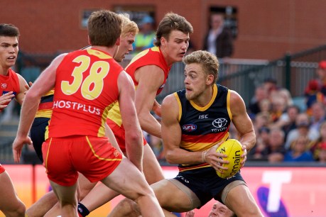 Crows’ draft bounty sours as Suns snare AFL handout