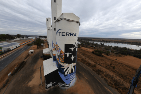 Waikerie’s silo art shares the wonder of majestic River Murray