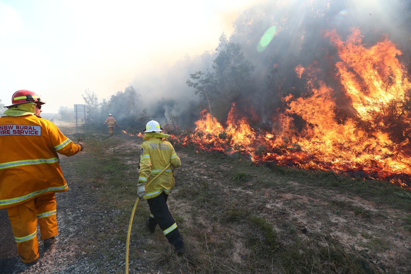 Firefighters battle bushfires in Angourie, northern New South Wales, on September 10 this year, marking another early start to the season. Photo: Jason O'Brien/AAP