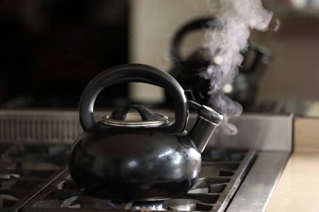 “Kettle-gate”: Public servant sacked over “disgusting” kitchen incident