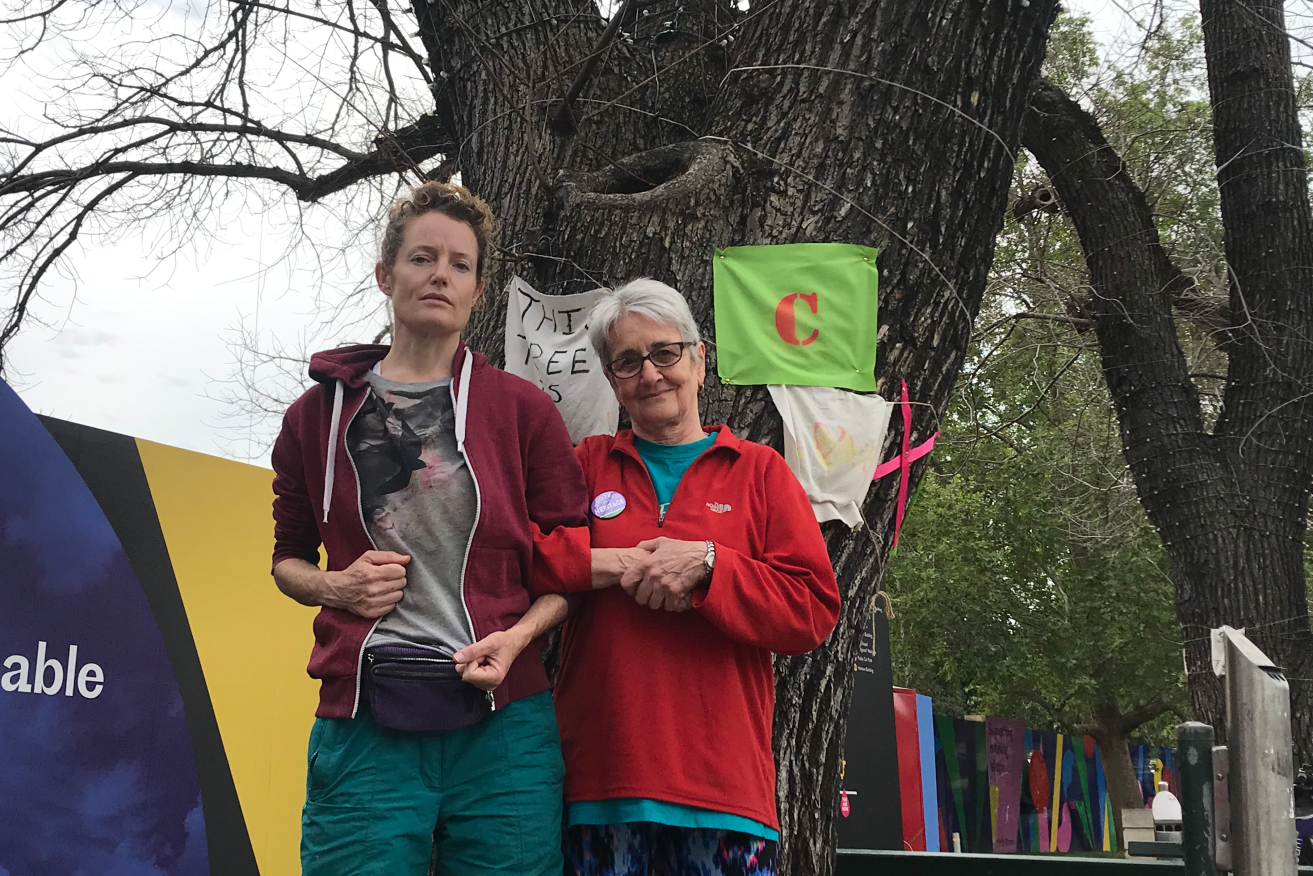 Protestors Lucian Chaffey and Pam DiLorenzo say they will stand in front of bulldozers to protect 11 North Terrace street trees from the axe. Photo: Stephanie Richards / InDaily  