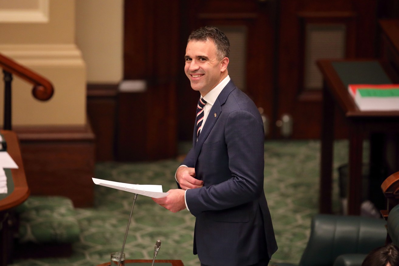 Peter Malinauskas in parliament last week. Photo: Tony Lewis / InDaily
