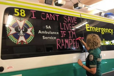 ‘Groundhog Day’: Ambos demand Govt act on endless cycle of ramping