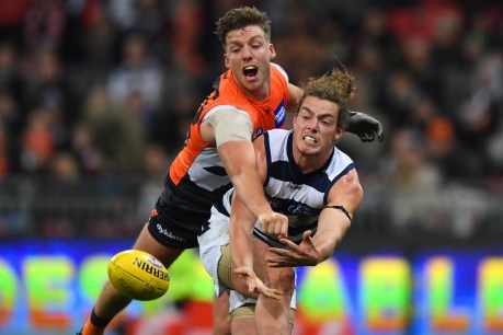 Port’s wily move on delisted Cat