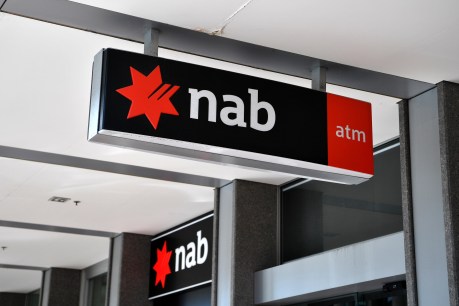 NAB slashes dividend as profits slump