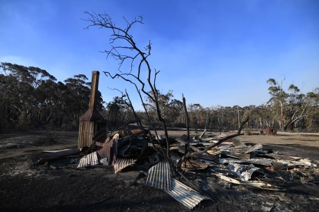 Bushfire victim says deputy PM wrong on climate change link