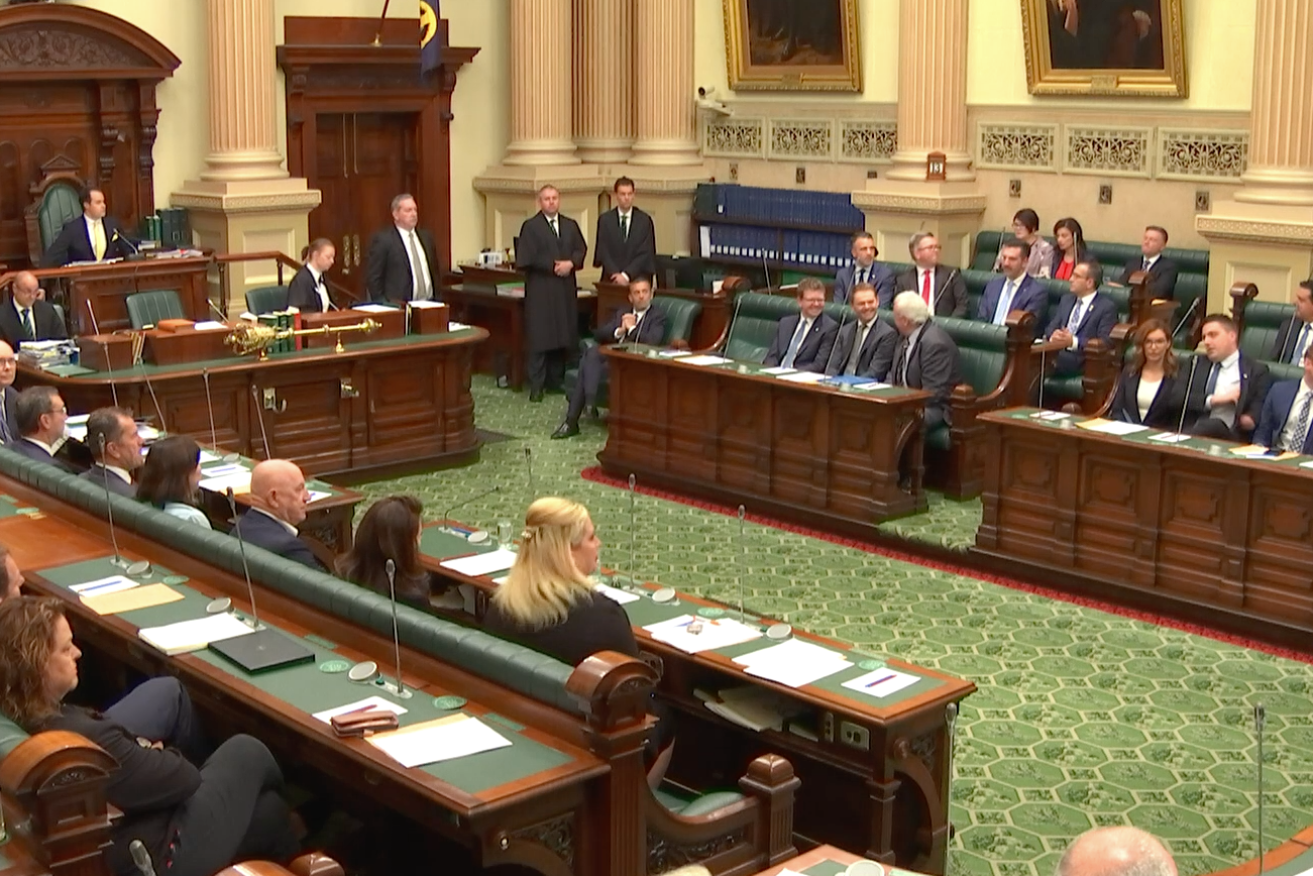 A majority of members (right of chamber) voted against the Bill. Photo: Parliamentary broadcast