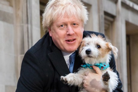 Boris set for big Brexit election win