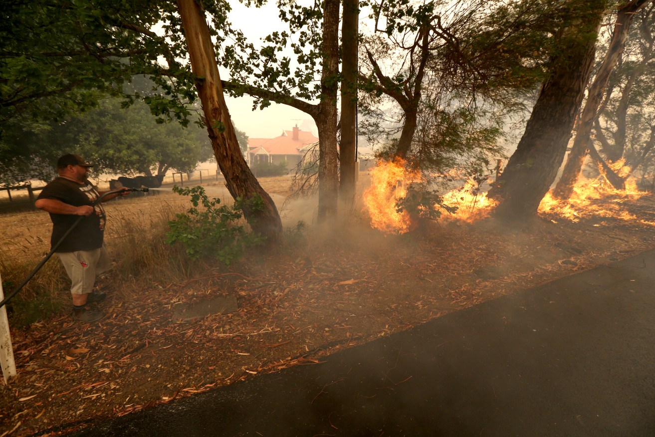 A Woodside resident battles a fire as it crosses Ridge Road at Woodside on Friday. Photo: AAP /Kelly Barnes