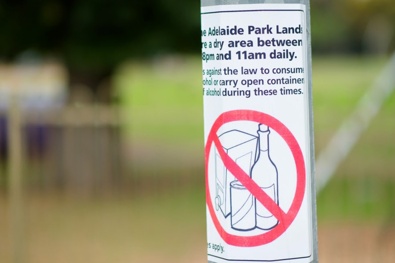 Adelaide City Council wants to implement a 24/7 dry zone in the park lands. Photo: InDaily 