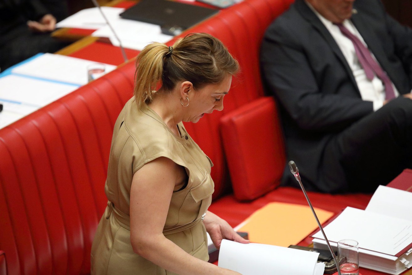 Michelle Lensink in state parliament. Photo: Tony Lewis / InDaily