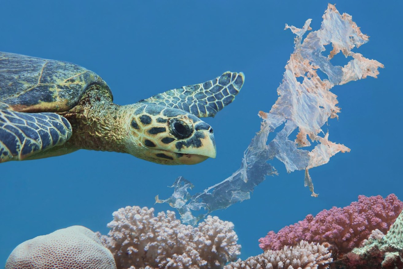 Plastics break down in the ocean to release chemicals and microplastics into the envrionment. Photo: Getty Images