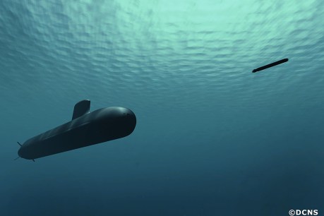 Submarine project navigating troubled waters
