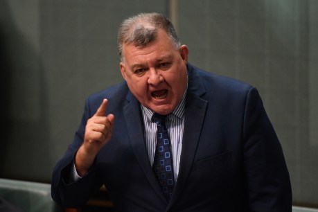 Liberal MP says fuel load not climate change driving bushfires