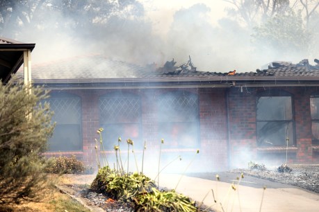 Planning begins to rebuild after devastating SA bushfires