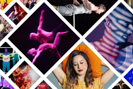All InDaily’s 2020 Adelaide Fringe reviews