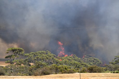 Kangaroo Island still burning but emergency eases