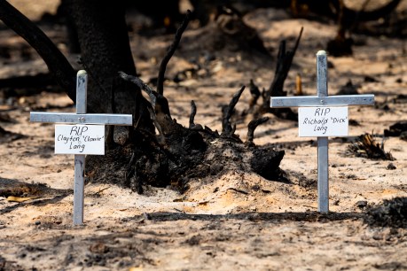 Farewell fly-past for Kangaroo Island bushfire victims