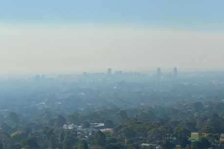 What are we inhaling from bushfire smoke shrouding Australian cities?