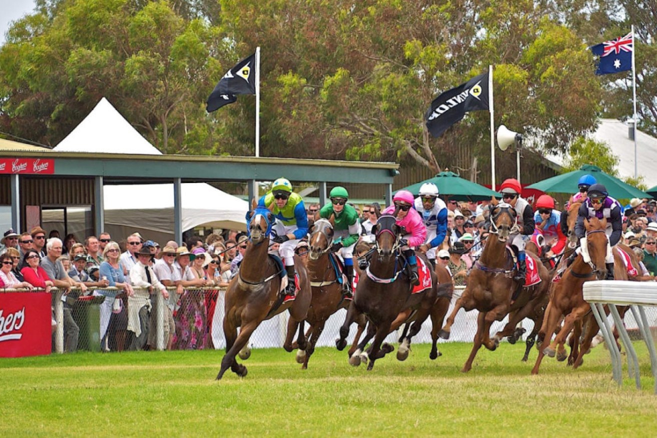 Racegoers are chartering planes from Brisbane and Adelaide to attend this year's KI Cup. Photo: Dean Wiles