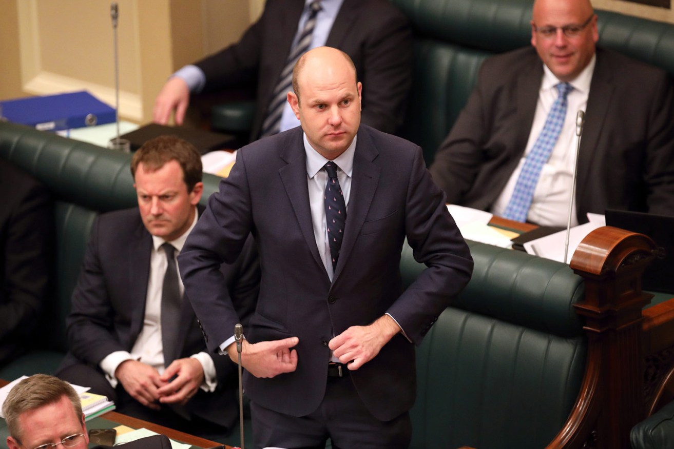 Sam Duluk (standing) in parliament. Photo: Tony Lewis / InDaily