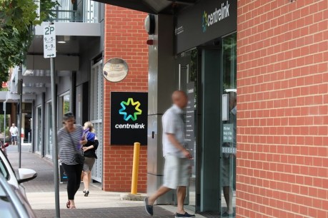 More older and female recipients claiming Centrelink JobSeeker