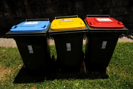 Rubbish reviews: following Adelaide’s festival waste trail