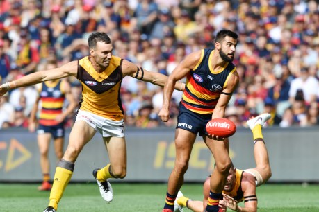Crows young gun scores mammoth contract extension