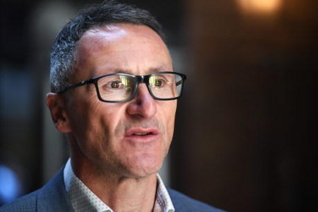 Di Natale quits Greens and parliament