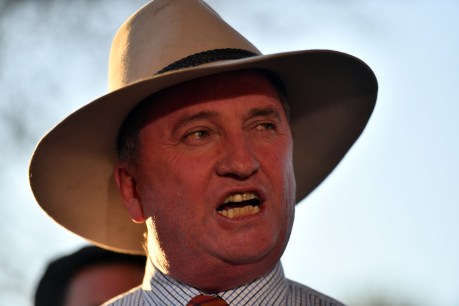 Barnaby puts hand up to lead Nationals again