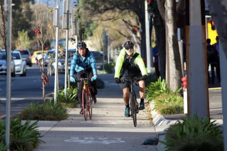 East-west bikeway punctured as city councillors bicker