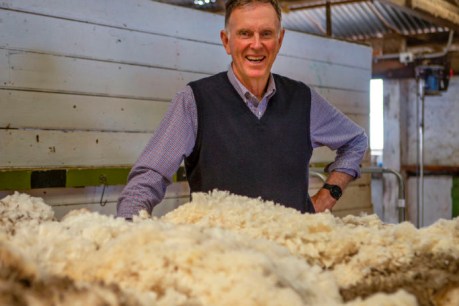 Good yarn about leading SA wool family