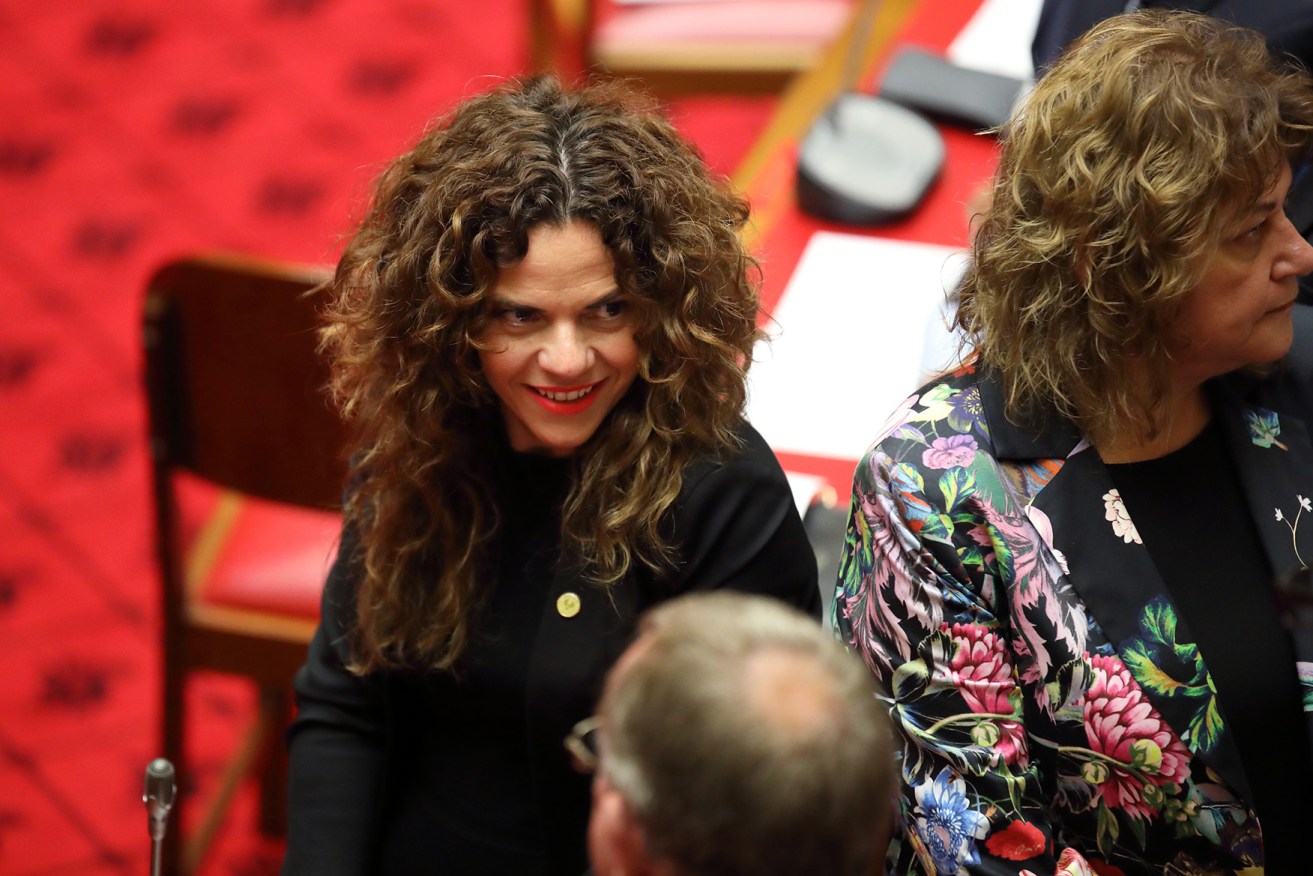 Connie Bonaros in parliament. Photo: Tony Lewis / InDaily