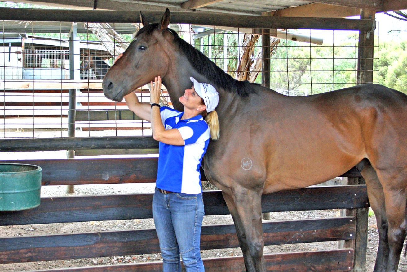 Morphettville trainer Paula Trenwith will take three horses to the Kangaroo Island Cup Carnival.
