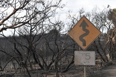 First bushfire payout for Kangaroo Island timber firm