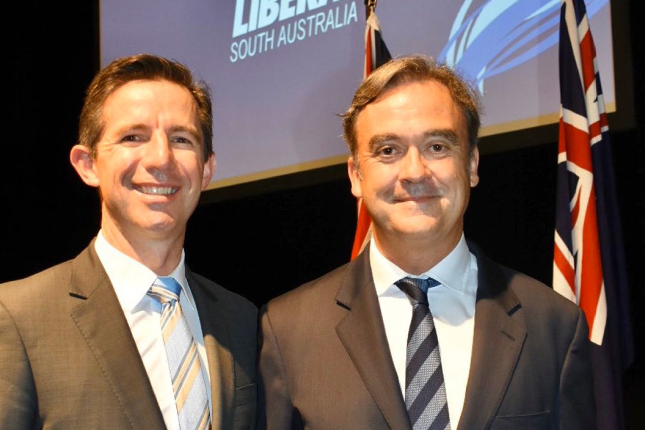 Newly-endorsed senate nominee Andrew McLachlan (right) with leading Liberal moderate Simon Birmingham on Saturday. Photo: Twitter