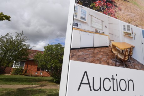 Agents Zoom in to keep auctions alive