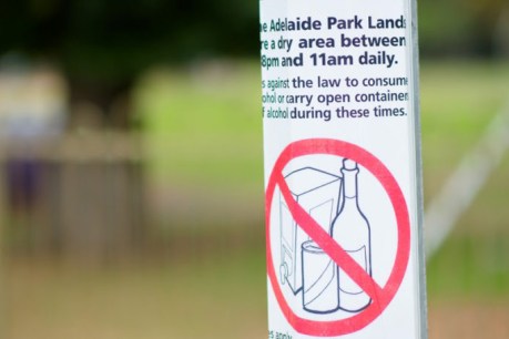 Citywide park lands booze ban knocked back