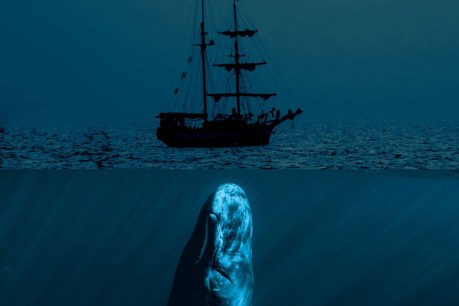 Fringe review: Moby Dick
