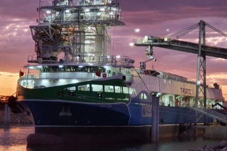 Regional SA port shipshape for grain exports
