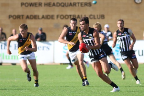 Port Adelaide says SANFL Magpies could become virus victim