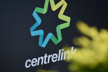 Senate call for independent review into Centrelink robo-debt