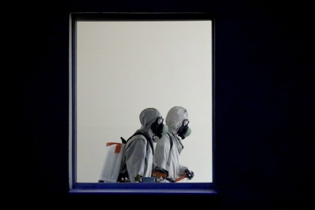 Pandemic puts 1.6b jobs at risk: UN